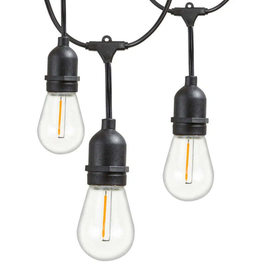 Burroughs 48' Outdoor String Lights with 15 Shatterproof Bulbs