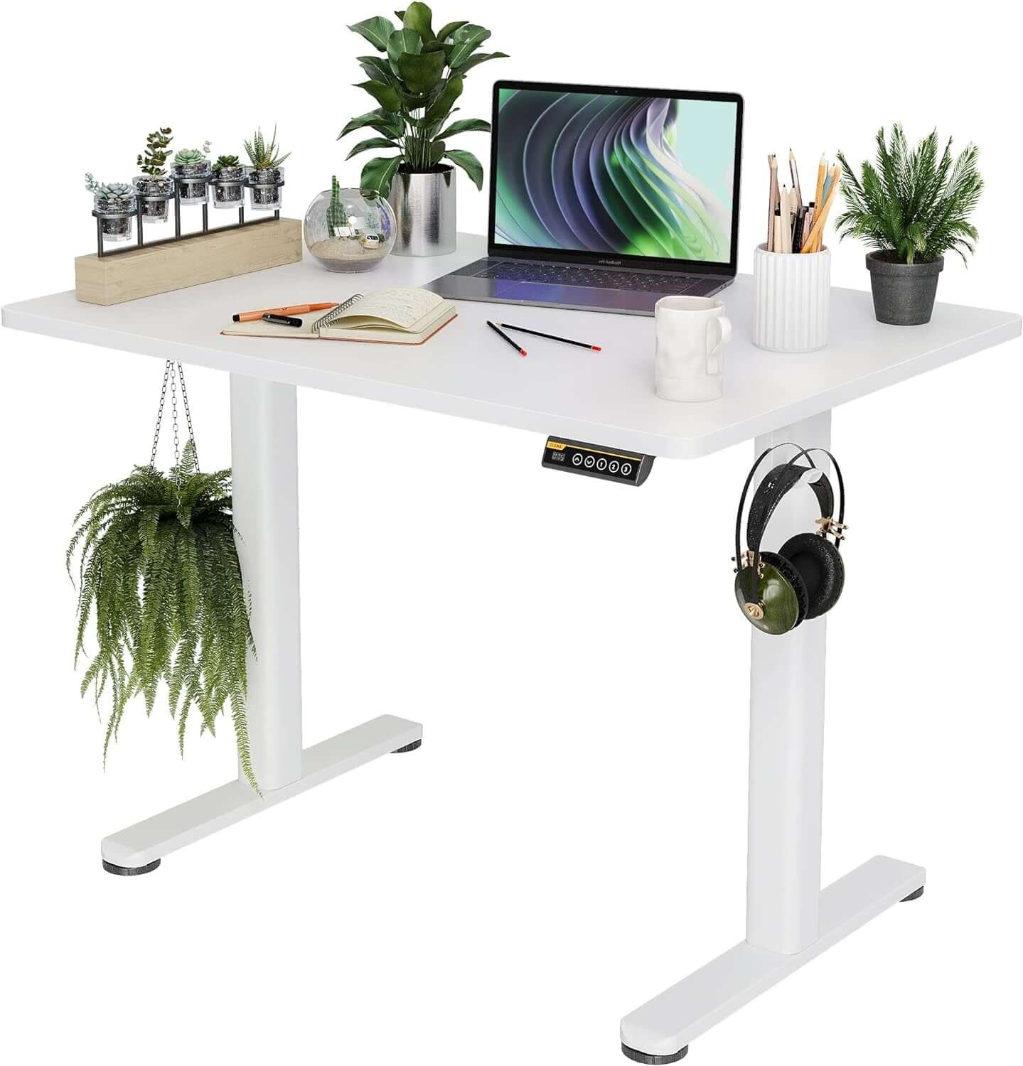 48" Adjustable Ergonomic Electric Standing Desk