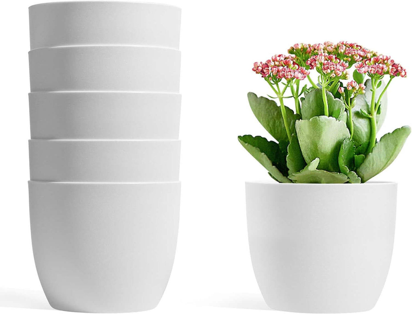 Set of 6 white self-watering planters with blooming houseplant in modern decorative pots.