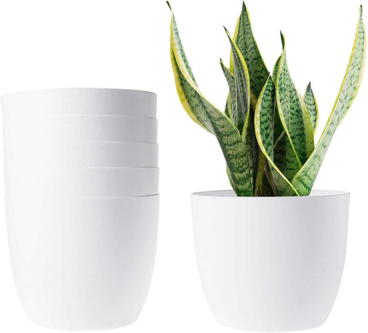 Set of 6 modern self-watering planters with a snake plant in one pot, ideal for houseplants, flowers, herbs, and succulents.