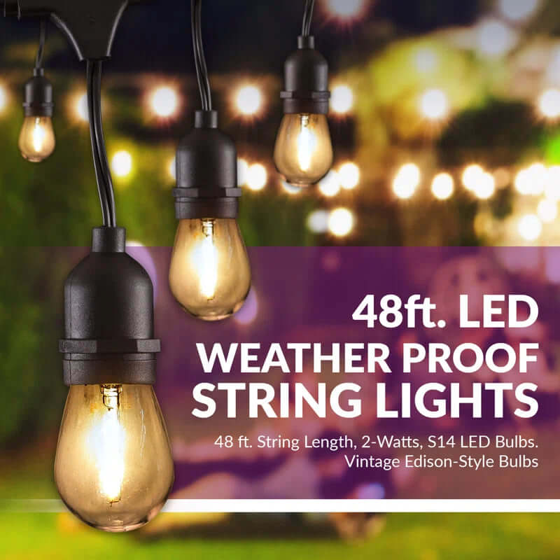 Burroughs 48' Outdoor String Lights with 15 Shatterproof Bulbs