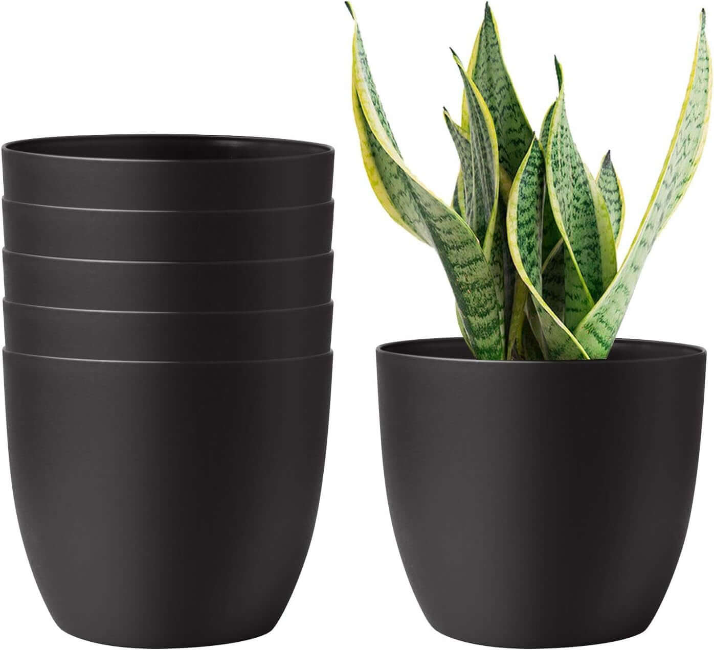 Self-watering black planters set of 6 with snake plant inside modern decorative pots for houseplants, flowers, herbs, and succulents