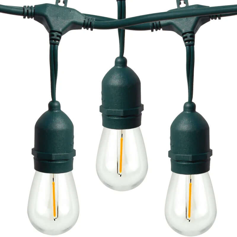 Burroughs 48' Outdoor String Lights with 15 Shatterproof Bulbs