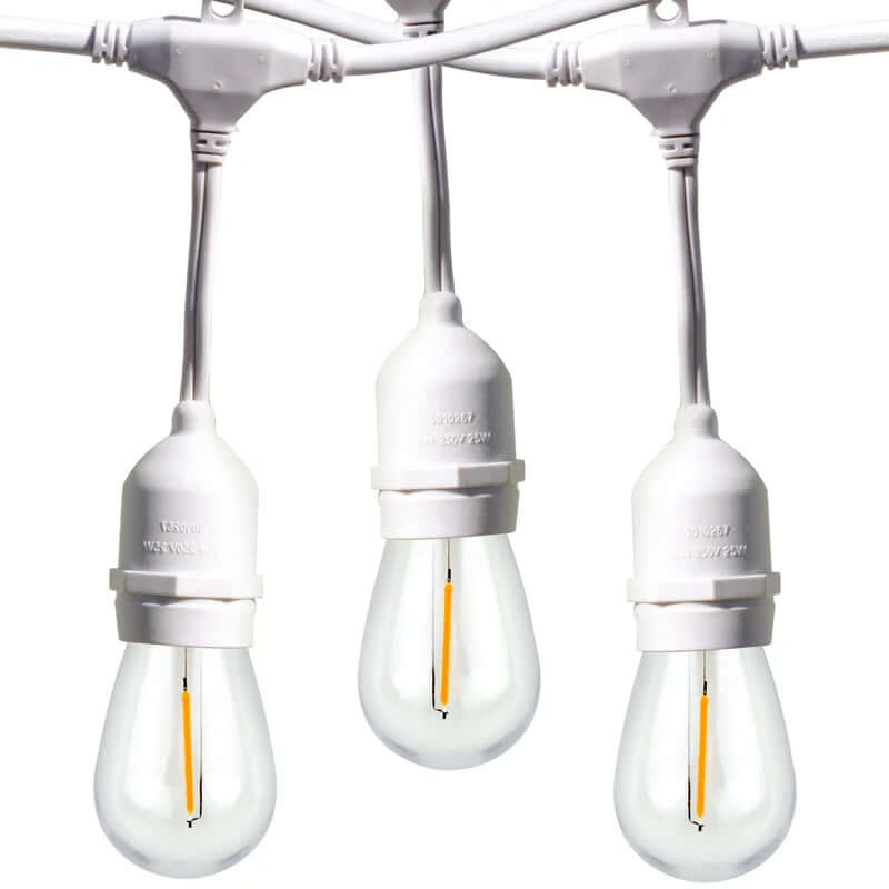 Burroughs 48' Outdoor String Lights with 15 Shatterproof Bulbs