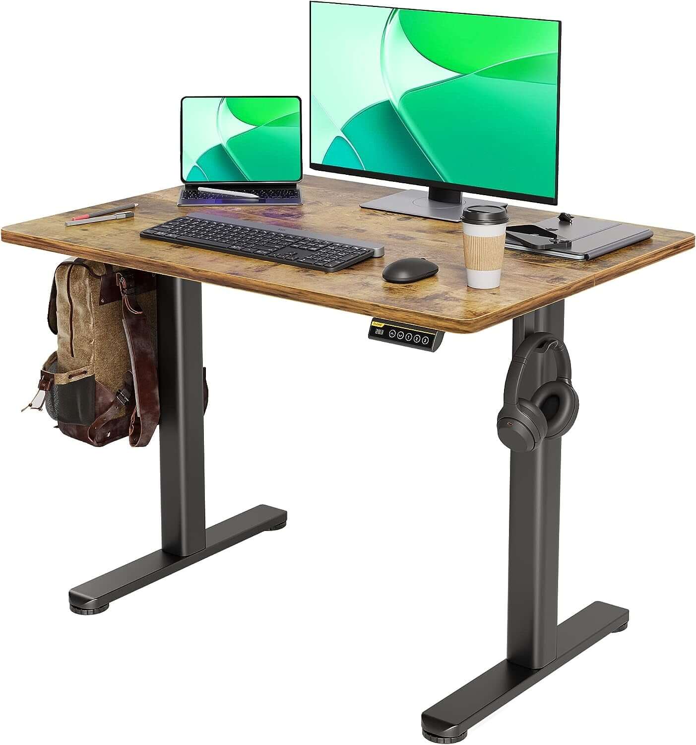 48" Adjustable Ergonomic Electric Standing Desk