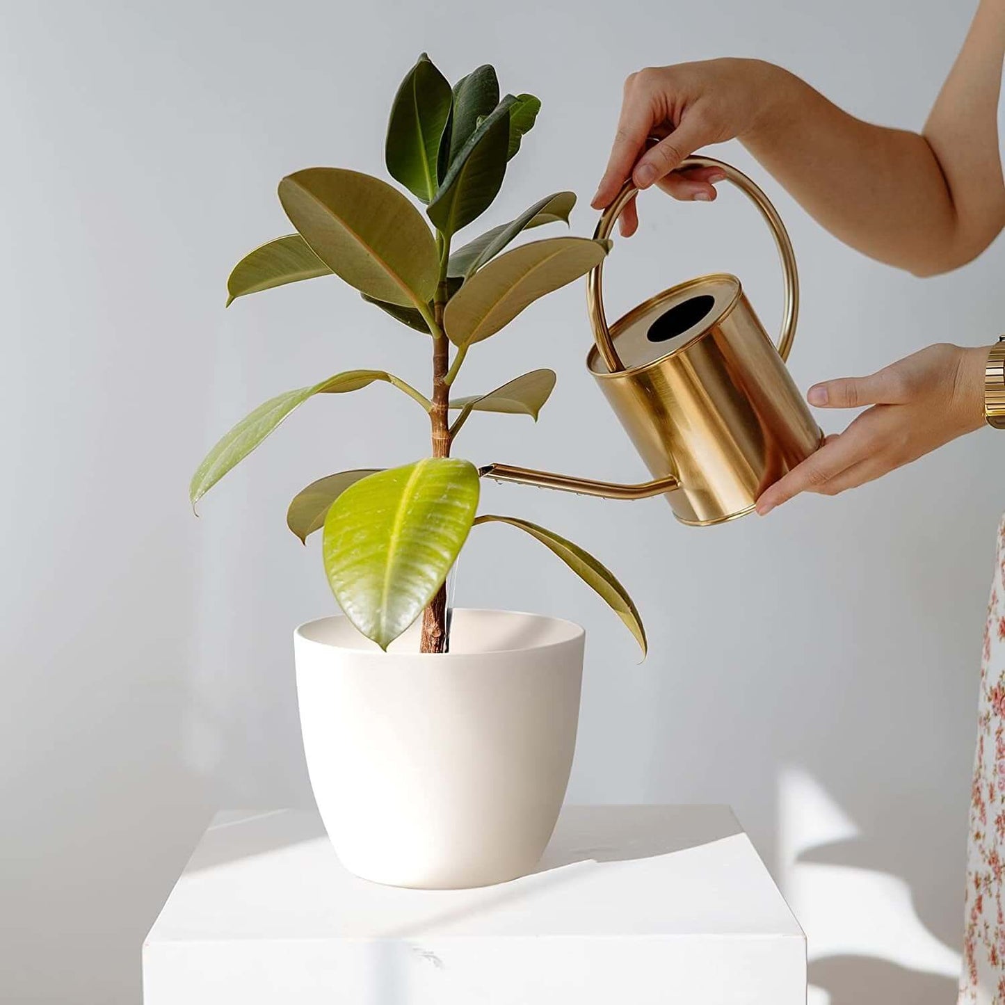 Person watering a houseplant in a modern decorative self-watering planter with a gold watering can.