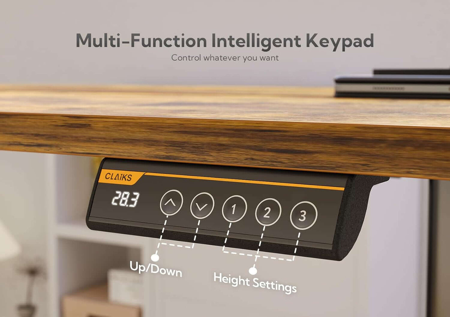 48" Adjustable Ergonomic Electric Standing Desk