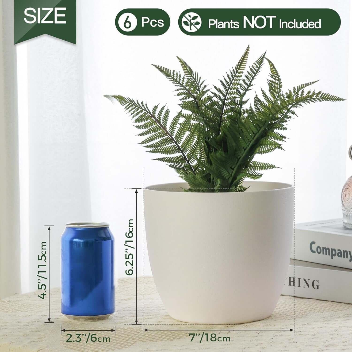 Self-watering planter with fern next to soda can for size comparison, modern decorative pot for houseplants, flowers, herbs, succulents